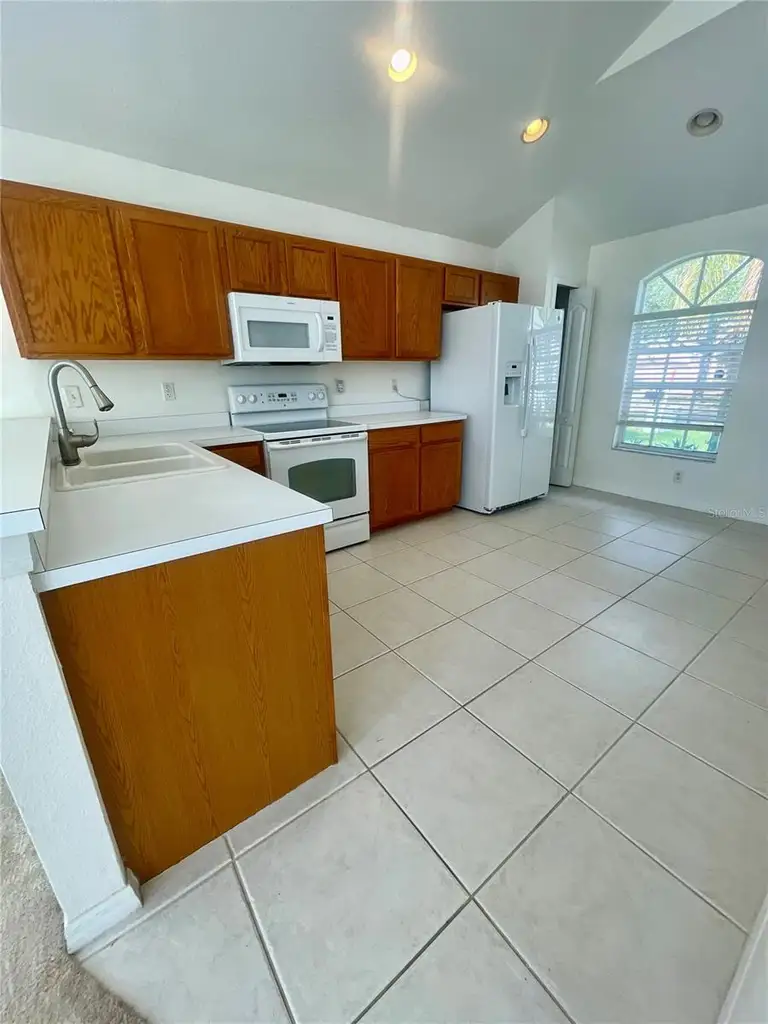 2353 ROANOKE SPRINGS DR — photo 5