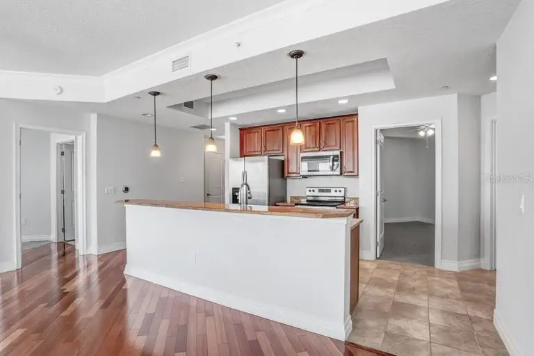 1209 E CUMBERLAND AVE #805 — photo 4