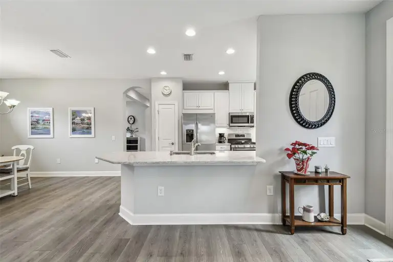 11125 CALLISIA DR — photo 2