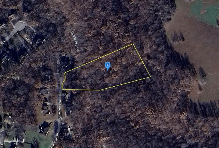 320 DEEP WOOD DR