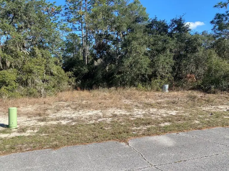 1329 ST AUGUSTINE CT — photo 4