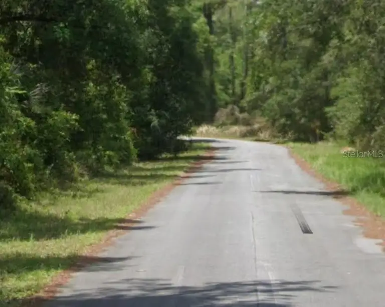 698 N VOLTAIRE LOOP — photo 3