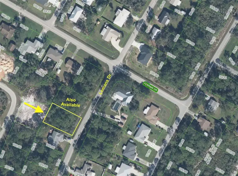 505 LEMANS DR