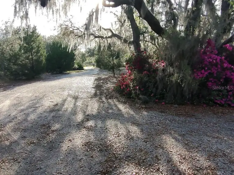 14415 COUNTY ROAD 448 — photo 2