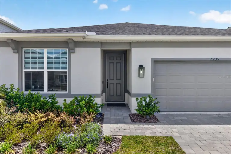7239 IVY TENDRIL AVE — photo 2