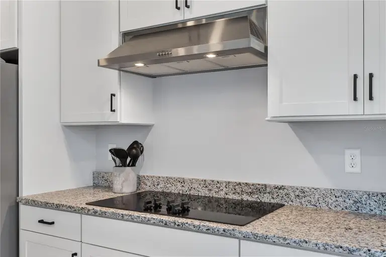 7239 IVY TENDRIL AVE — photo 5
