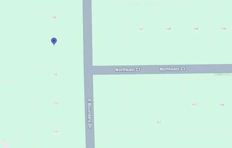 137 E BOUNDARY DR — photo 4