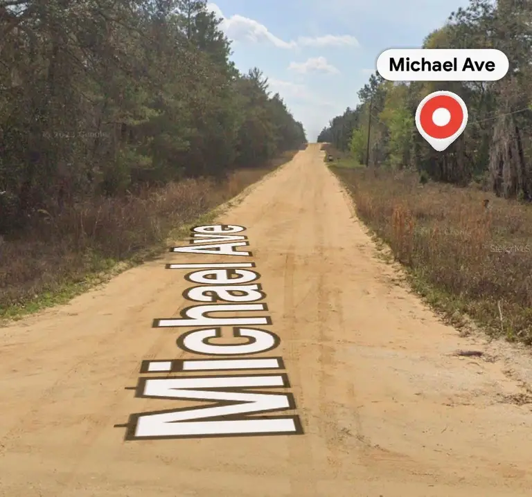 MICHAEL AVE — photo 2